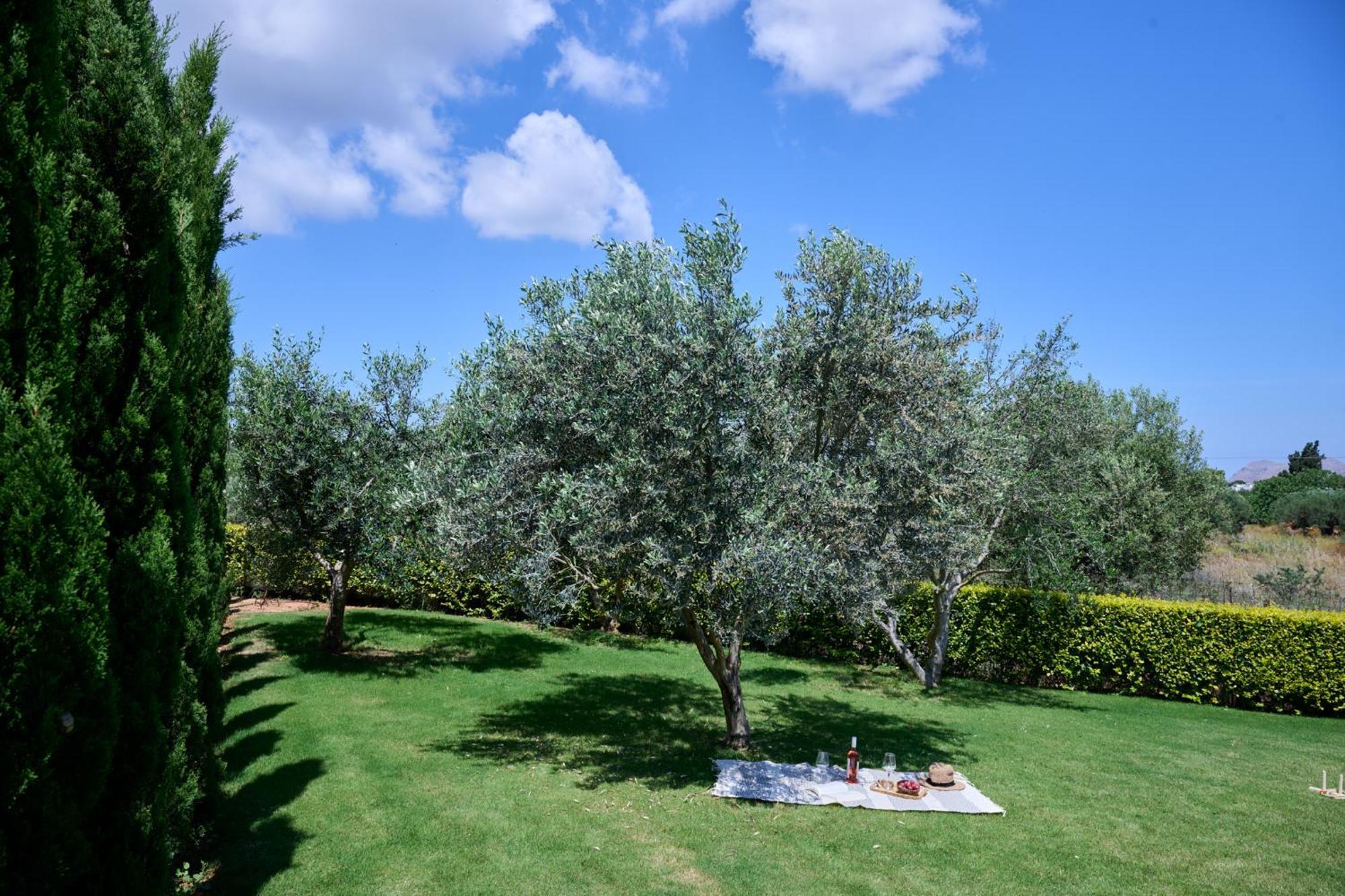 Kyamon Estate Luxury Villa La Canea Exterior foto